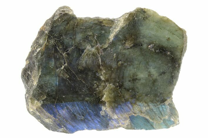 Single Side Polished Labradorite Section - Madagascar #230261